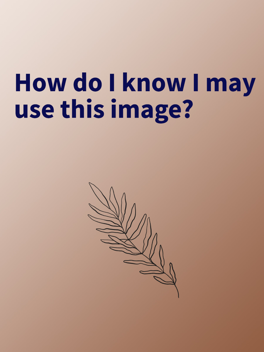 How do I know if I may use this image?