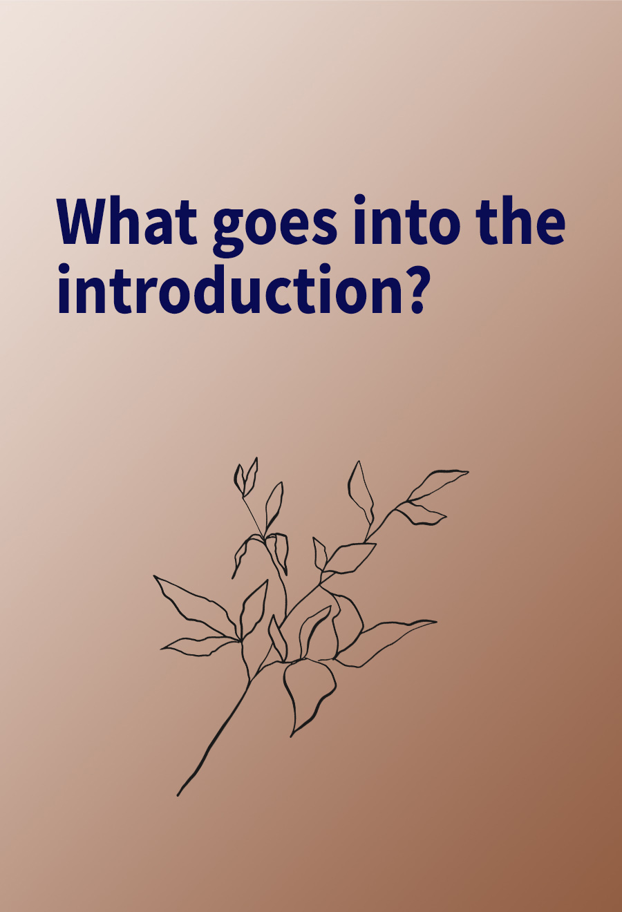 What goes into the introduction?