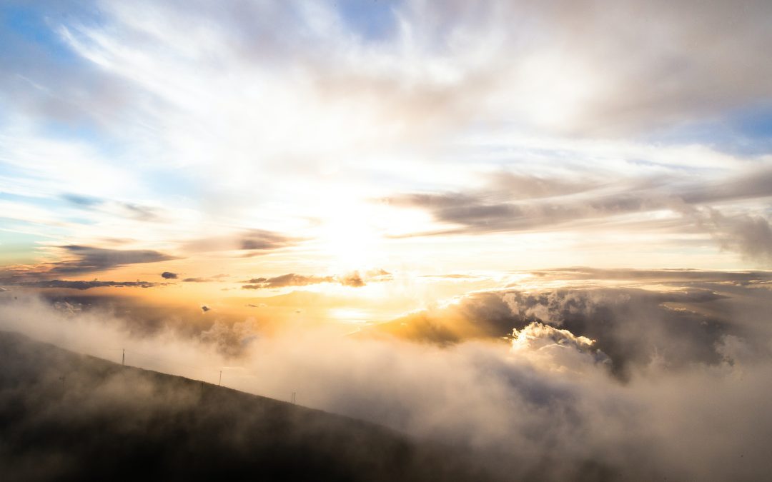 Get Ready for the Big Day